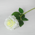 Цветы искусственные "Роза Эмират" 10*55 см, белая - Фото 1