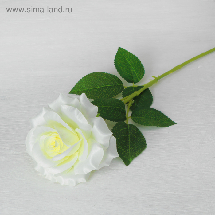 Цветы искусственные "Роза Эмират" 10*55 см, белая - Фото 1