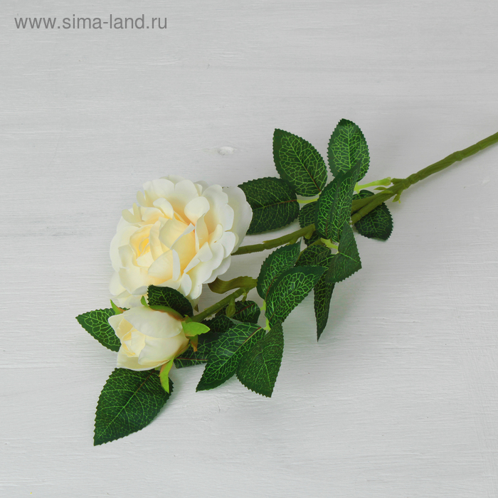 Цветы искусственные "Роза Моника" 9*50 см, белая - Фото 1