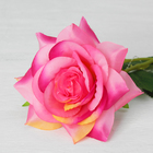 Цветы искусственные "Роза Портленд" 10*55 см, розовая - Фото 2