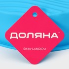 Форма для выпечки с ручками Доляна «Круг», силикон, 27×24×6 см, внутренний диаметр 22 см, МИКС - Фото 8