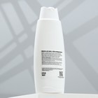 Шампунь антипаразитарный от блох и клещей «Пижон», 250 мл, для кошек и собак - Фото 3