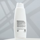 Шампунь "Пижон" гипоаллергенный, для чувствительной кожи, для кошек, 250 мл - Фото 2