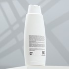 Шампунь «Пижон» распутывающий для кошек с длинной шерстью, 250 мл - Фото 3