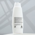 Шампунь универсальный «Пижон», 250 мл, для щенков и котят - Фото 2