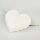 Минеральный камень для птиц «Перрико», в виде сердечка, коробка, 12 г - Фото 2