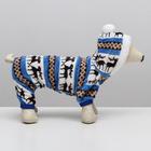 Комбинезон «Олени» с капюшоном, размер S (ДС 25 см, ОГ 35 см, ОШ 25 см), голубой - Фото 3