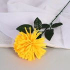 Цветы искусственные "Астра сфера" 12х60 см, жёлтый - фото 3717518