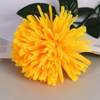 Цветы искусственные «Астра сфера», 12×60 см, жёлтые - Фото 2