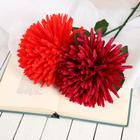 Цветы искусственные «Астра сфера», 12×60 см, МИКС - Фото 3