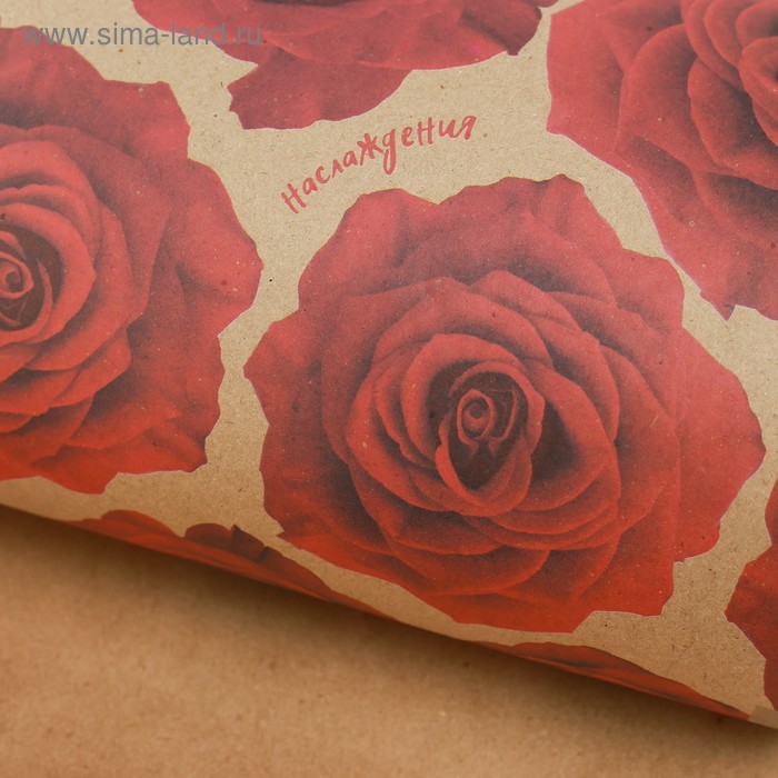 Бумага упаковочная крафтовая «Вдохновения», 50 × 70 см - Фото 1