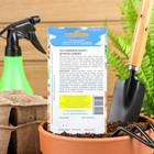 Семена Лук шалот "Дружная семейка", 0,1 г - Фото 2