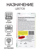 Семена цветов Пеларгония «Венеция Микс», крупноцветковая, F1, 5 шт. - Фото 3