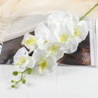 Цветы искусственные "Орхидея Изящная" 10х100 см, белый - фото 318039877
