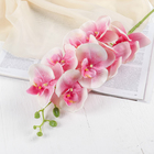 Цветы искусственные "Орхидея Изящная" 10х100 см, розовый - фото 318039879