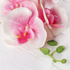 Цветы искусственные "Орхидея Изящная" 10х100 см, розовый - Фото 2