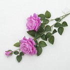 Цветы искусственные "Роза Прованс" 11*100 см, сиреневая - Фото 1