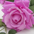 Цветы искусственные "Роза Прованс" 11*100 см, сиреневая - Фото 2