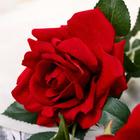 Цветы искусственные "Роза Прованс" 11*100 см, бордовая - Фото 2