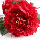 Цветы искусственные "Пион кустовой" 5 бутонов 15*110 см, красный - фото 809149493