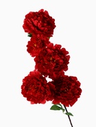 Цветы искусственные "Пион кустовой" 5 бутонов 15*110 см, красный - фото 809149495