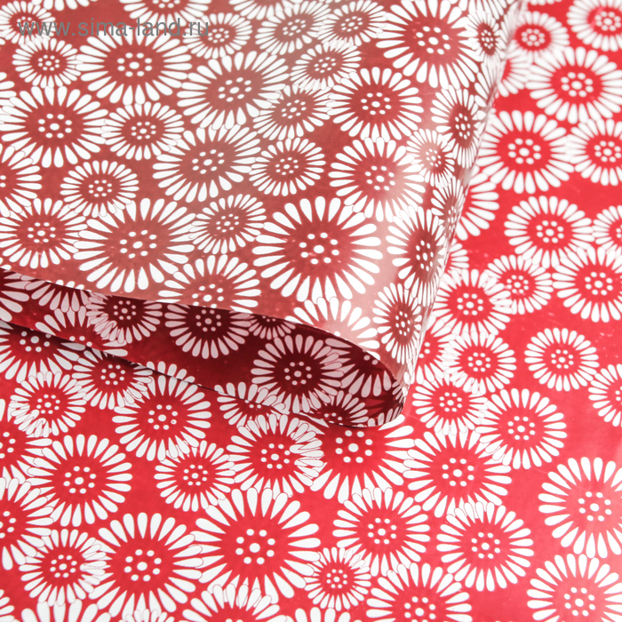 Плёнка для цветов и подарков "Ромашки", красный, 70 х 100 см - Фото 1
