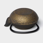 Чайник Доляна «Восточная ночь. Золото», 300 мл, с ситом, чугун, индукция, золотистый - Фото 5