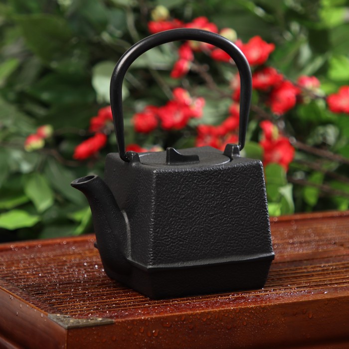 Чайник Доляна «Бокей. Этно», 700 мл, с ситом, с эмалированным покрытием, индукция, чугун, чёрный - Фото 1