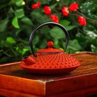 Чайник чугунный Доляна «Марокко», 500 мл, с ситом, с эмалированным покрытием внутри, цвет красный - фото 10835579
