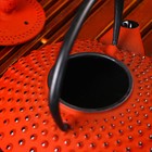 Чайник чугунный Доляна «Марокко», 500 мл, с ситом, с эмалированным покрытием внутри, цвет красный - Фото 4