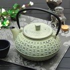 Чайник с ситом 800 мл "Жангали", цвет светло-зеленый - Фото 1