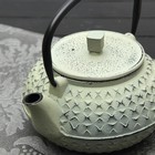 Чайник с ситом 800 мл "Жангали", цвет светло-зеленый - Фото 4