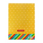 Папка для рисования А4, 30 листов «Енот», плотность 120 г/м² - Фото 4