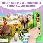 Музыкальная книга «Приходите в зоопарк», 10 стр. - Фото 4