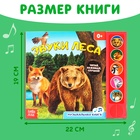 Музыкальная книга «Звуки леса», 5 звуков, 10 стр. - Фото 2