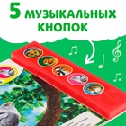 Музыкальная книга «Звуки леса», 5 звуков, 10 стр. - Фото 3