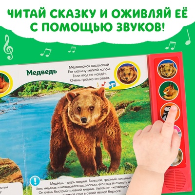 Музыкальная книга «Звуки леса», 5 звуков, 10 стр.