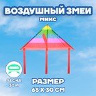 Воздушный змей с леской, виды МИКС 2807445 - фото 3406887