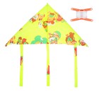 Воздушный змей с леской, виды МИКС - Фото 3