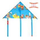 Воздушный змей с леской, виды МИКС - Фото 4