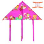 Воздушный змей с леской, виды МИКС - Фото 5