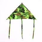 Воздушный змей с леской, виды МИКС - Фото 7