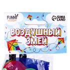 Воздушный змей с леской, виды МИКС - Фото 9