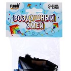 Воздушный змей «Сова», с леской, МИКС - Фото 4
