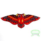 Воздушный змей «Сова», с леской, МИКС - Фото 5