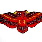 Воздушный змей «Сова», с леской, МИКС - Фото 6