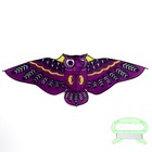 Воздушный змей «Сова», с леской, МИКС - Фото 9