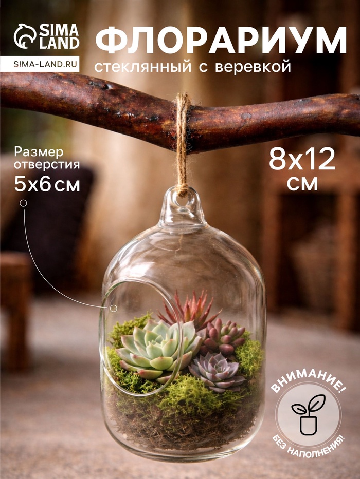 Флорариум «Цилиндр», с верёвкой, d=5×6 см, 8×12 см - Фото 1