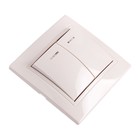 Выключатель Smartbuy "Венера", 10 А, 2 клавиши, с индикатором, белый - Фото 1