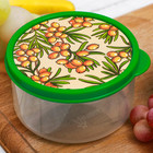 Ланч-бокс "Облепиха", 300 мл - Фото 1